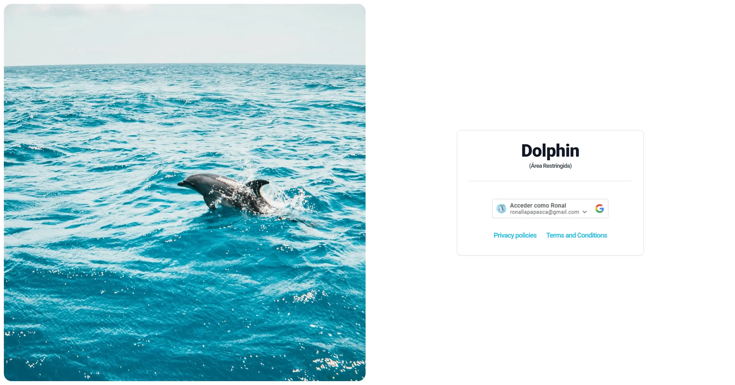 Fotografía para CRM Dolphin