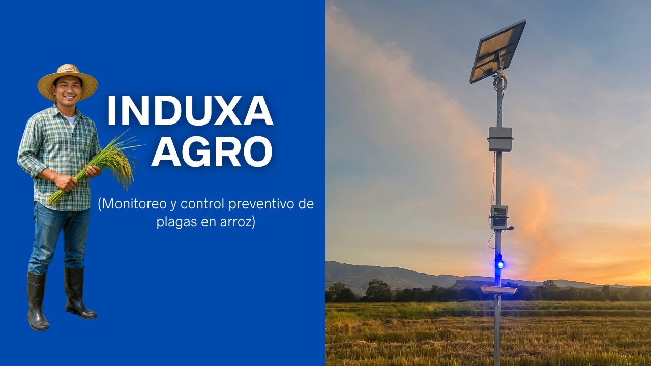 INDUXA AGRO — Red IoT de monitoreo de plagas y disuasión de aves para arroz